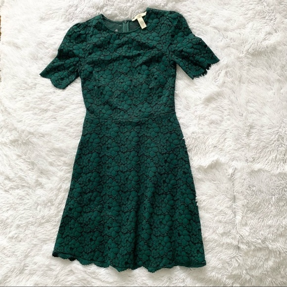 LARK & RO Deep Green Fit and Flare Crew Neck Sheath Stretch Lace Mini Dress - Picture 3 of 16